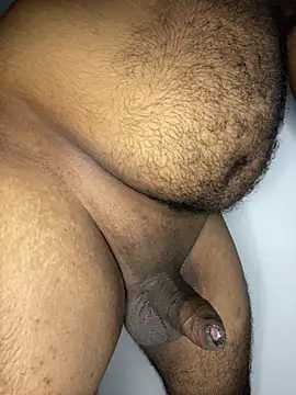 Pertunjukan Kamera Web delasan