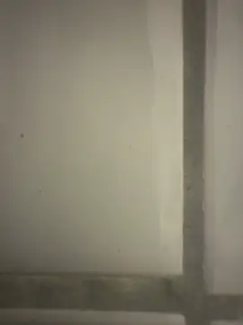 orient_zob: διαδικτυακό σόου στην κάμερα