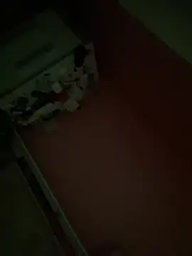 Flossy_Vettie Chat XXX in diretta