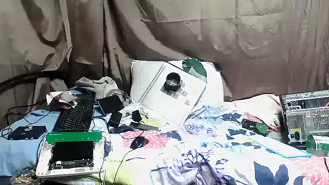 Camodick Webcam show