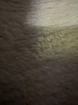 Czat XXX na żywo – anonimgirl18old