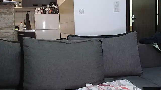 NestorNestorのウェブカメラショー