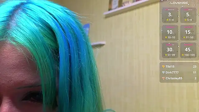 Show webcam de JoyRivers