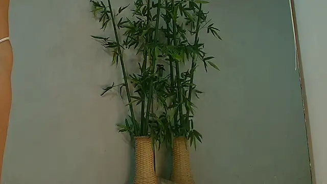 แชท XXX สดของ cristina_aznar1