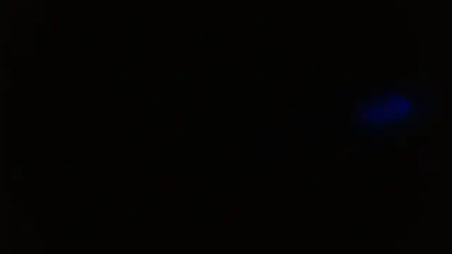 Živý XXX chat Sweetdirty1