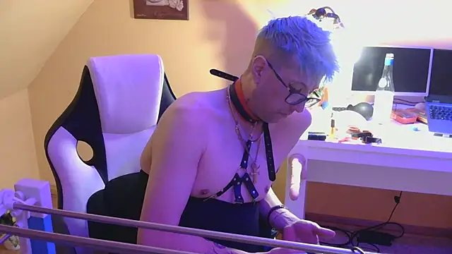 Show webcam de AskAveryAnything