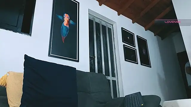 SilvaBranko – Kamerová šou