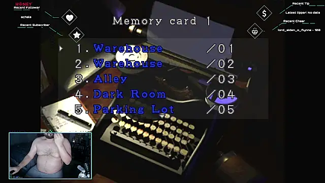 Show Webcam de bottombeargaming