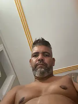 Chat +18 de adgato ao vivo