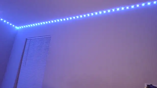 stellakobra: διαδικτυακό σόου στην κάμερα