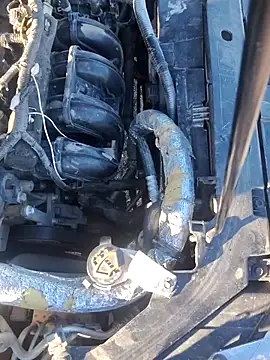 Czat XXX na żywo – FloppyPickle4u