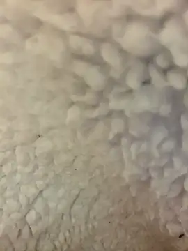 lasexycoquine59 웹캠 쇼