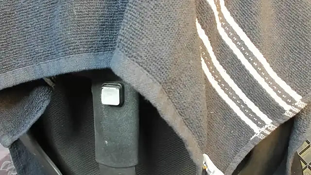 Evahhh4u Pertunjukan Webcam