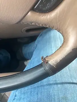 prekumstud Show Webcam