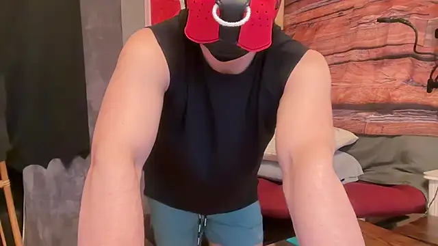 intillactualln Webbikameraesitys