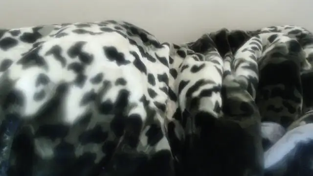 Czat XXX na żywo – Nellybba