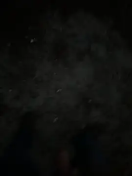 HungRowdyCowboy Webcam Show