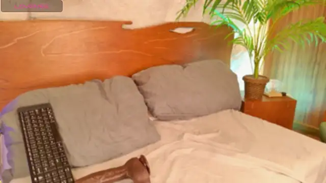 alisonn_moon 라이브 XXX 채팅