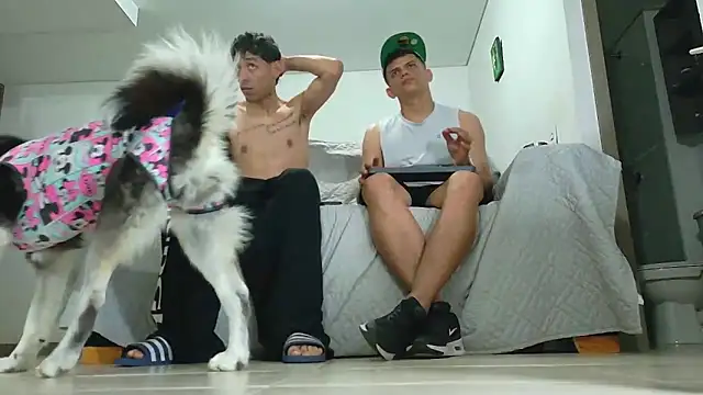 Czat XXX na żywo – Party_Straight