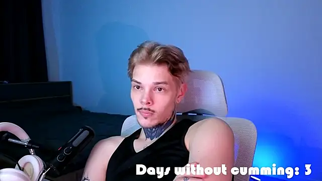 DENIS_HEREn Webbikameraesitys