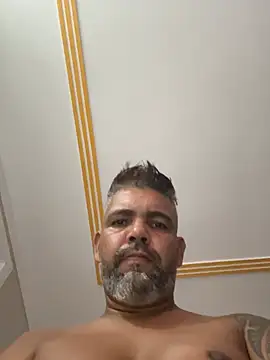 Chat +18 de adgato ao vivo