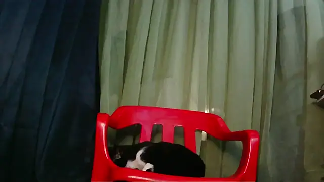 Show de webcam de Conorlee