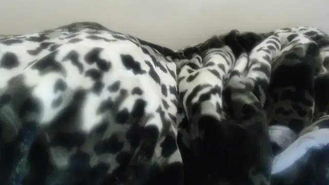 Živý XXX chat Nellybba