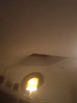 InferredPloce webcam show