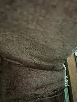 Show Webcam de BellaCherishDarling