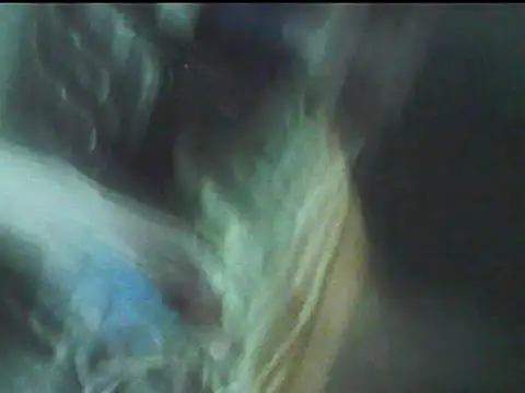 Show Webcam de Fundy37