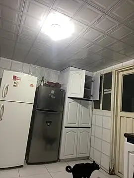 Онлайн чат XXX Freya_Artemisa