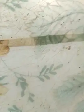 haryanaboypanipat12 webkamerás műsora