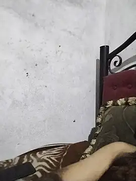 salimbasha webcam show