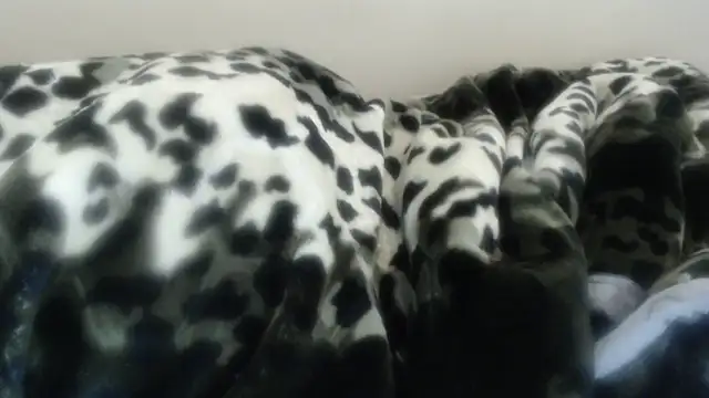 Nellybba Chat XXX in diretta