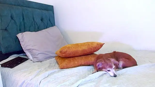 cedrixx10 Show Webcam