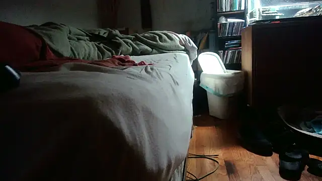 jumpingtomflash Webcam-Show