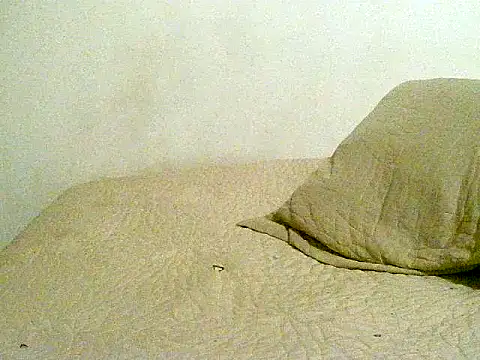 pollarikaaa Live XXX-chat