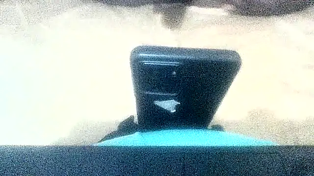 PrimBee 即時 XXX 聊天