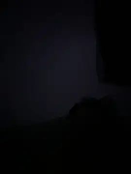 Carlosmauricio123 网络视讯表演