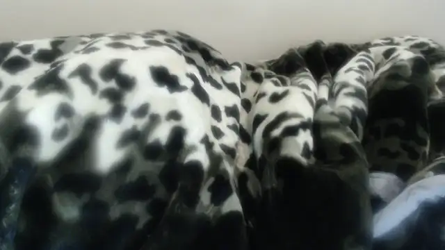 Nellybba's Live XXX Chat