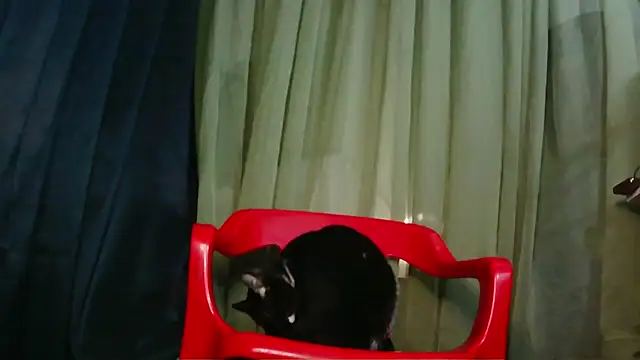 Conorlee 라이브 XXX 채팅