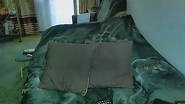 sex2のライブXXXチャット