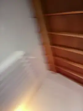 Show de webcam de shannol_ryan