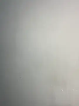 RickyEbony Webcam-Show