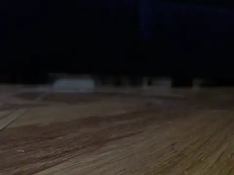 Show de webcam de alphaswitchard