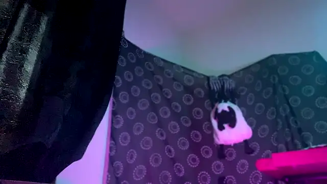 Show webcam de Guyst049