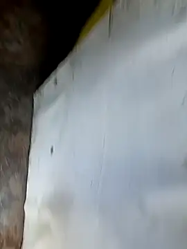 عرض كام dolphiinn