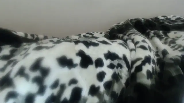 แชท XXX สดของ Nellybba