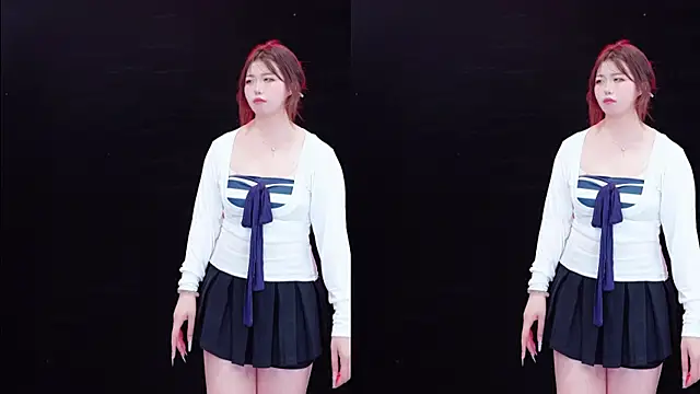 Eraser520 Show Webcam