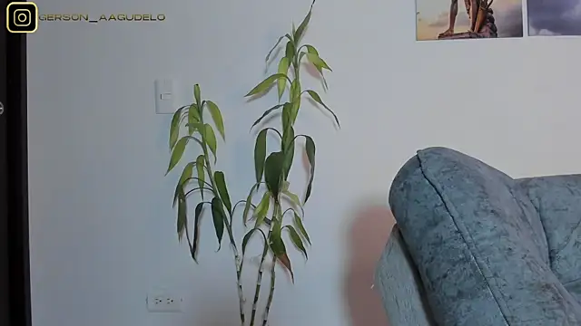 Gersonztのウェブカメラショー